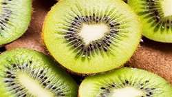 آغاز صادرات کیوی از گمرکات