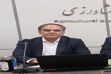 مومنی