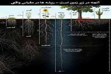 خاکورزی