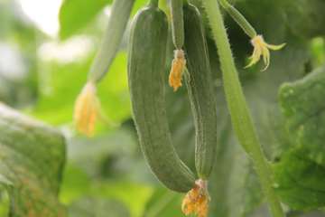 IMG_20260826_110449_806