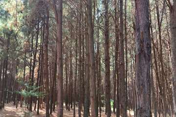 IMG_20260827_111659_669