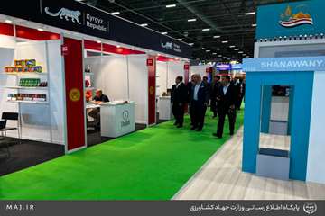 InShot_20260829_162331752