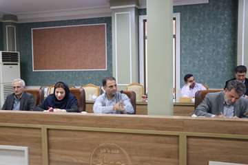 IMG_0318_1