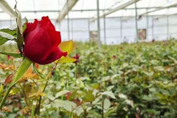IMG_20260615_211354_539