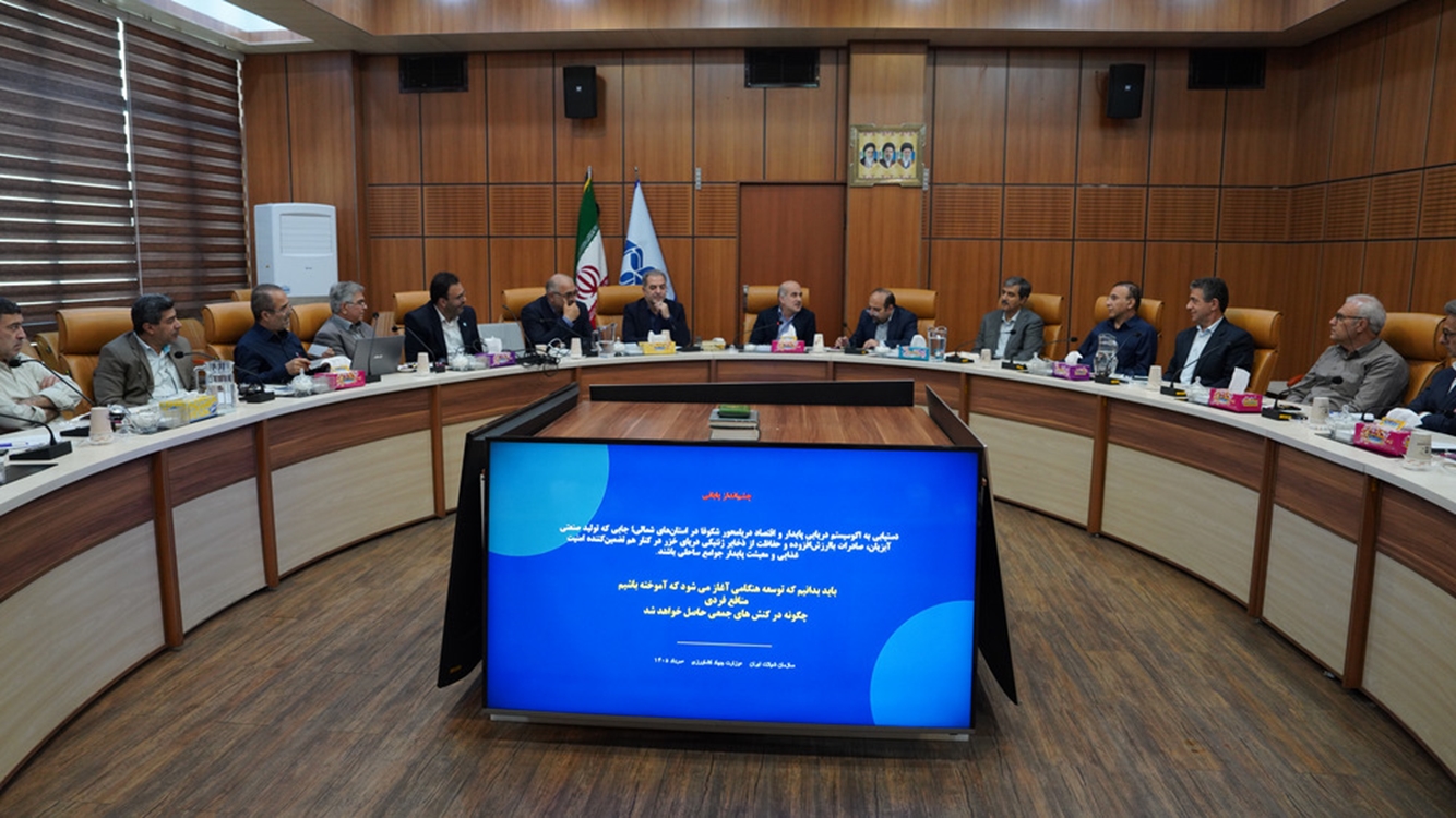 شیلات 