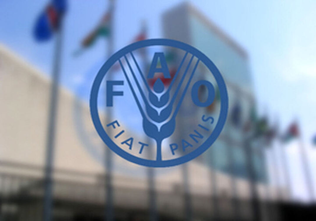 فائو4 