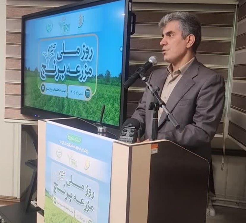 اقتصاد کشاورزی گیلان؛ از معرفی ۲ رقم جدید برنج تا دیپلماسی غذایی 