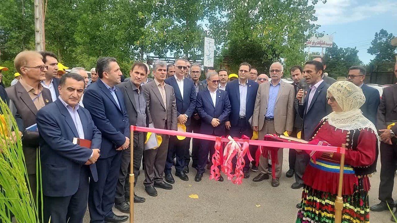 رونمایی از ۲ رقم جدید برنج «تی‌تی» و «کویر» در گیلان 
