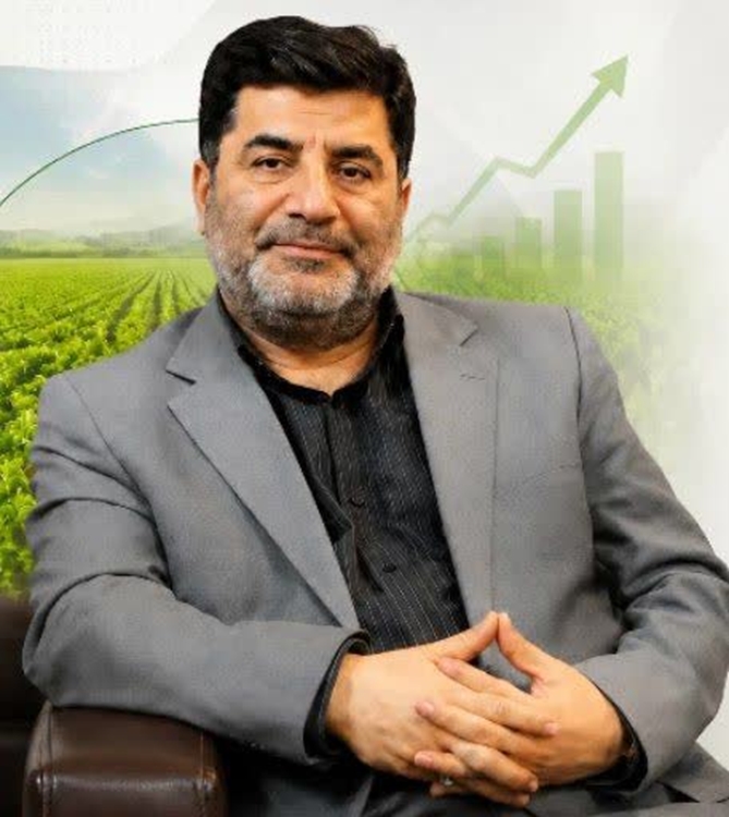 فتحی 